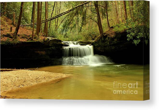Spring Canvas Print featuring the photograph Creation Falls in Spring by Matthew Winn