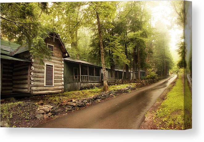 Abandoned Houses Canvas Print featuring the photograph Elkmont In The Smokies by Mike Eingle