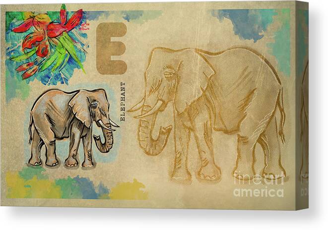 Educational Canvas Print featuring the drawing English alphabet , Elephant by Ariadna De Raadt