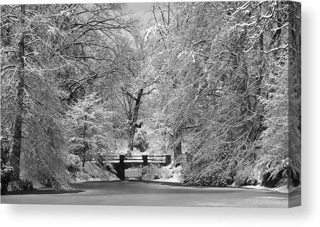Winter Canvas Print featuring the photograph Fresh Snowfall at Mount Auburn Cemetery by Ken Stampfer
