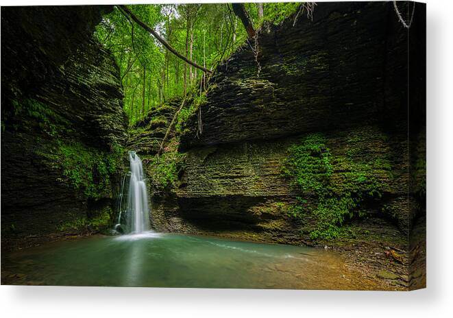 Arkansas Landscape Canvas Print featuring the photograph Fuzzybutt Falls by David Dedman