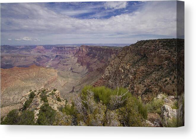 Grand Canyon Canvas Print featuring the photograph Grand Canyon's Desert View by Stephanie McDowell
