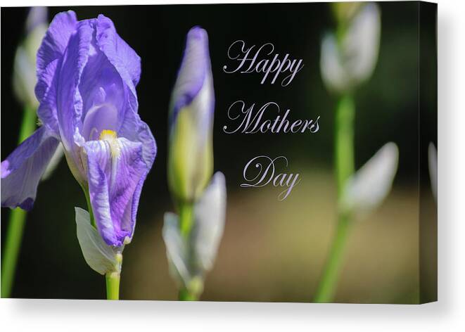 Happy Mothers Day Canvas Print featuring the photograph Happy Mothers Day by Tikvah's Hope