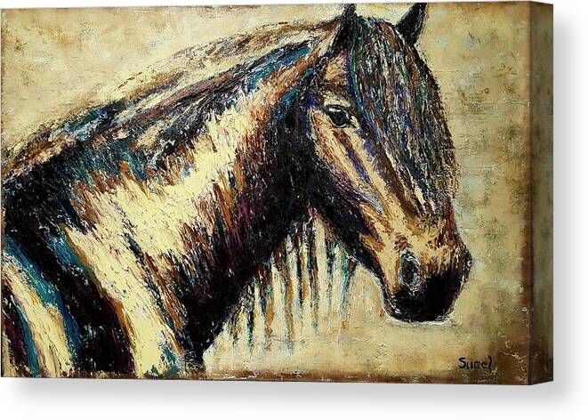 Horse Canvas Print featuring the painting Horse by Sunel De Lange