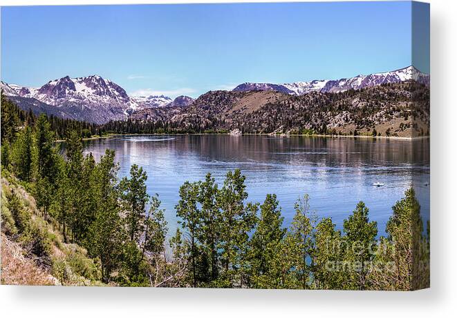 June Lake Canvas Print featuring the photograph June Lake by Joe Lach