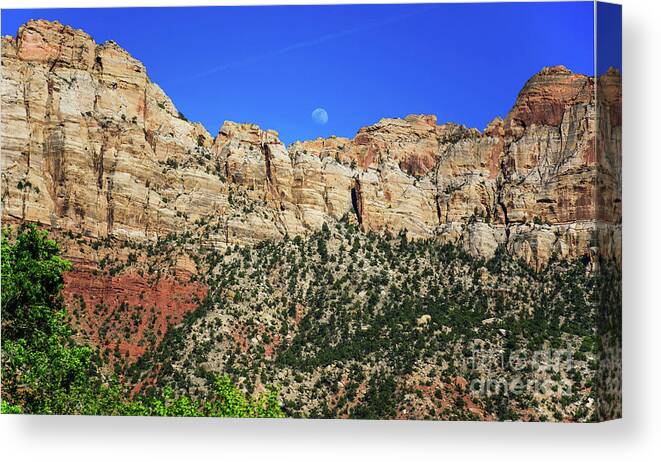 Nature Canvas Print featuring the photograph Lower Zion park by Barry Bohn
