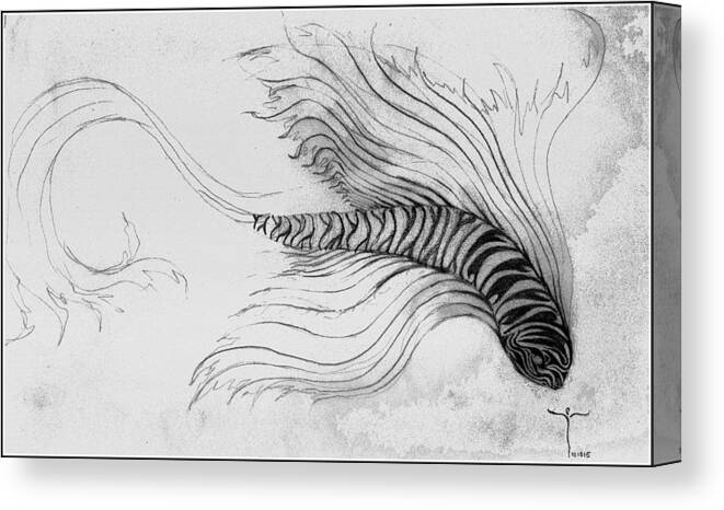  Canvas Print featuring the drawing Megic Fish 3 by James Lanigan Thompson MFA