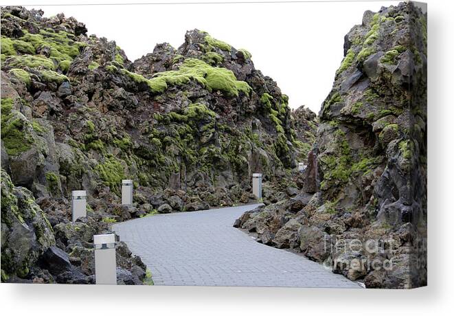 Blue Lagoon Canvas Print featuring the photograph Path to the Blue Lagoon 6188 by Jack Schultz