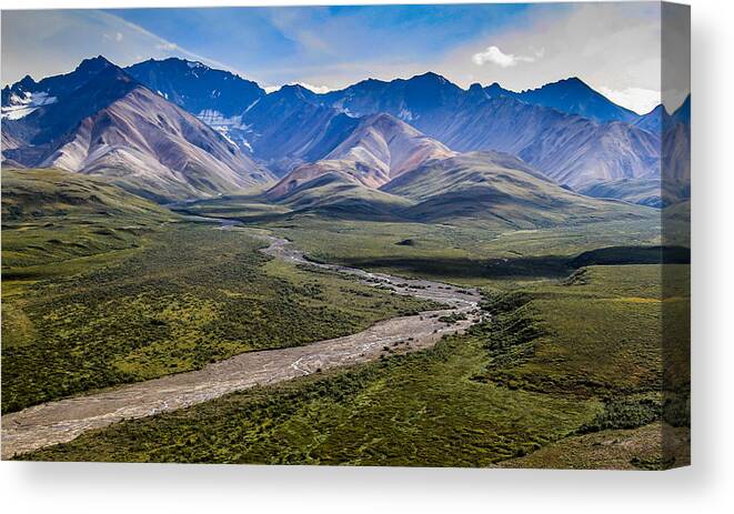 Polychrome Pass Canvas Print featuring the photograph Polychrome Pass Area Denali National Park Five by Mo Barton