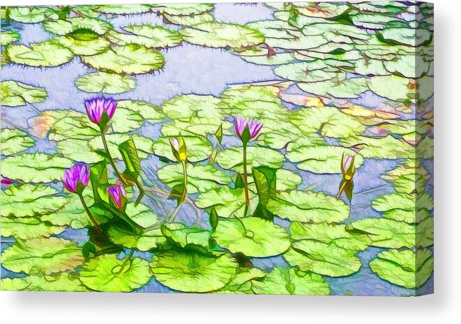 Purple Lotus Flower Reflection Canvas Print featuring the painting Purple Lotus Flower by Jeelan Clark
