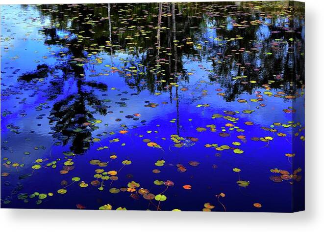 Nature Canvas Print featuring the photograph Reflections by Lyle Crump