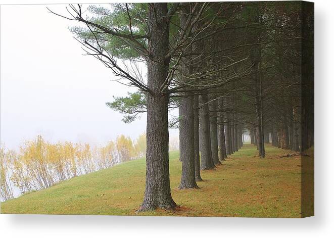Woodland Canvas Print featuring the photograph Silence in the Air by Bruce Bley