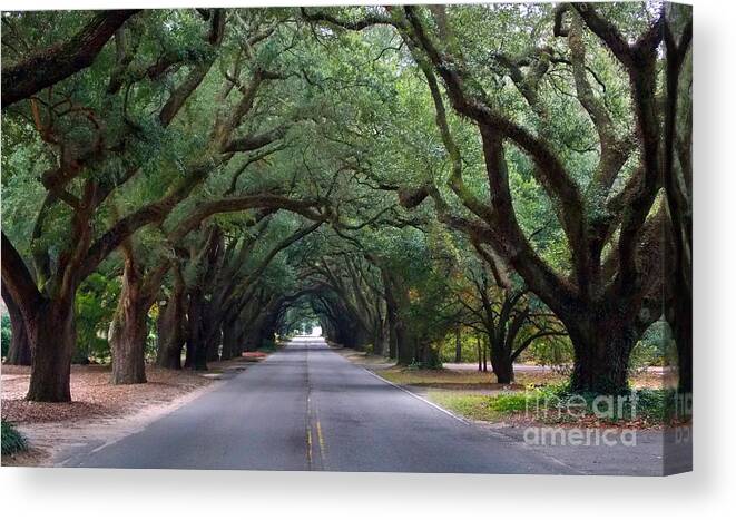 Scenic Tours Canvas Print featuring the photograph South Boundry by Skip Willits