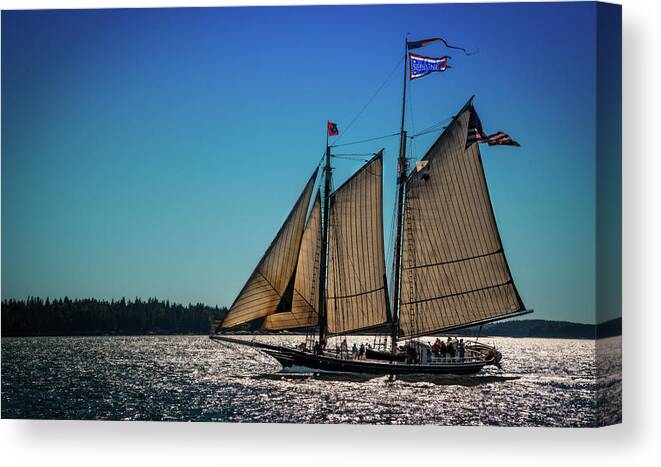 Schooner Canvas Print featuring the photograph Stephen Taber by Fred LeBlanc