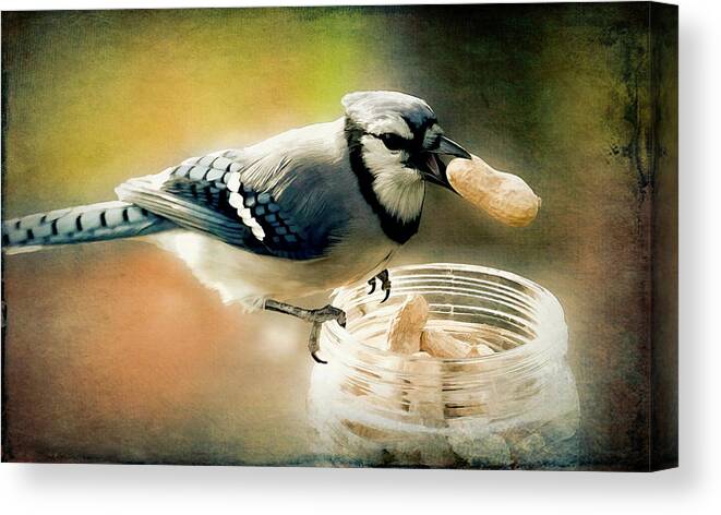 Glass Jar Canvas Print featuring the photograph The Original Peanut Buster by Leslie Montgomery