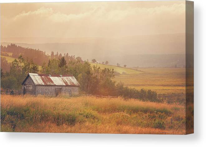 New Brunswick Canvas Print featuring the photograph There's a Bright Golden Haze On The Meadow by Tracy Munson