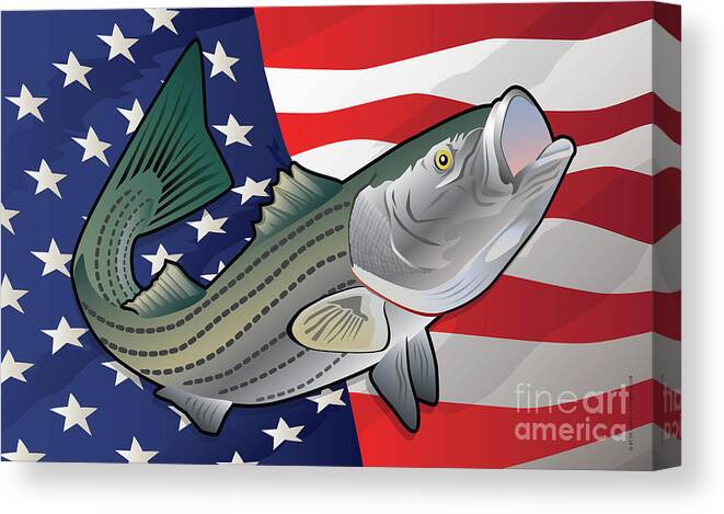 Rockfish Canvas Print featuring the digital art USA Rockfish Striped Bass by Joe Barsin