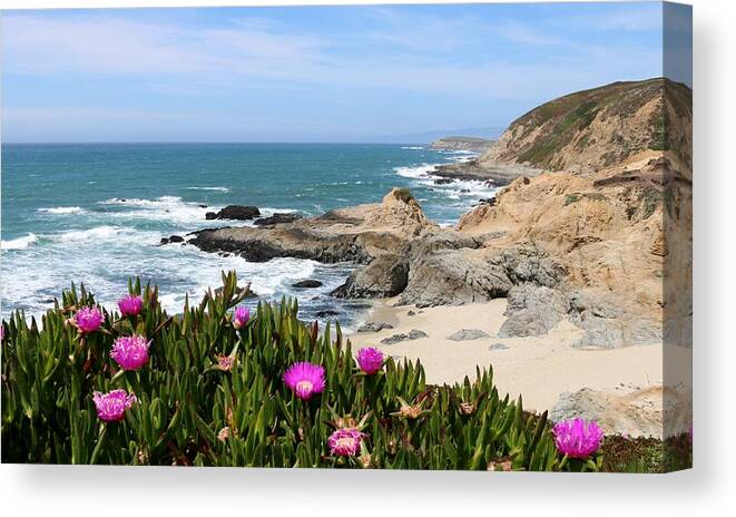Bodega Head Canvas Print featuring the photograph View from Bodega Head in Bodega Bay CA - 3 by Christy Pooschke