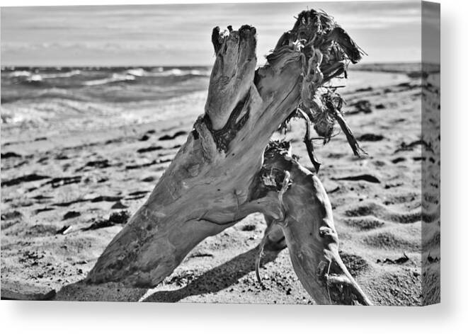 Dune Shack Canvas Print featuring the photograph Washed Ashore by Marisa Geraghty Photography