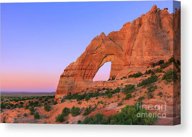 Color Canvas Print featuring the photograph White Mesa Arch by Henk Meijer Photography