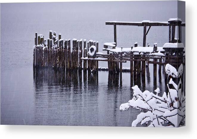 Winter Canvas Print featuring the photograph Winterized by Albert Seger