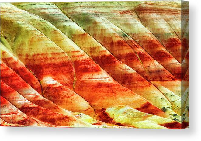 Deebrowningphotography.com Canvas Print featuring the photograph Painted Hills John Day Fossil Beds #1 by Dee Browning