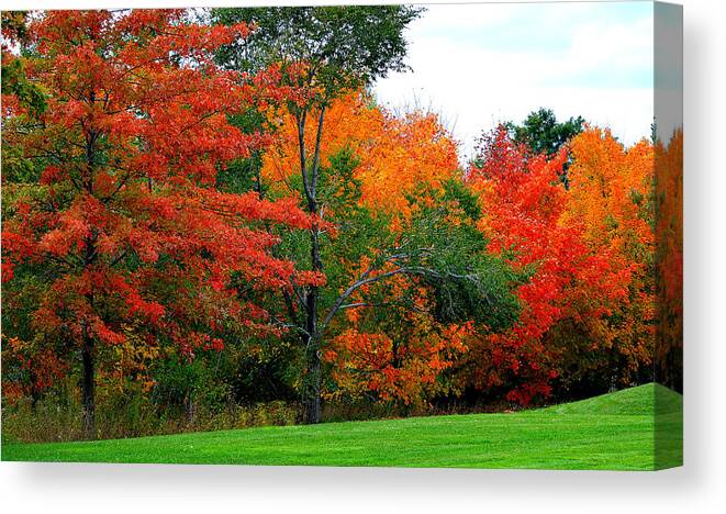 Art Canvas Print featuring the photograph Autumn Wood by Joan Han