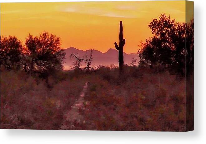 Affordable Canvas Print featuring the photograph Desert Sunrise Trail by Judy Kennedy
