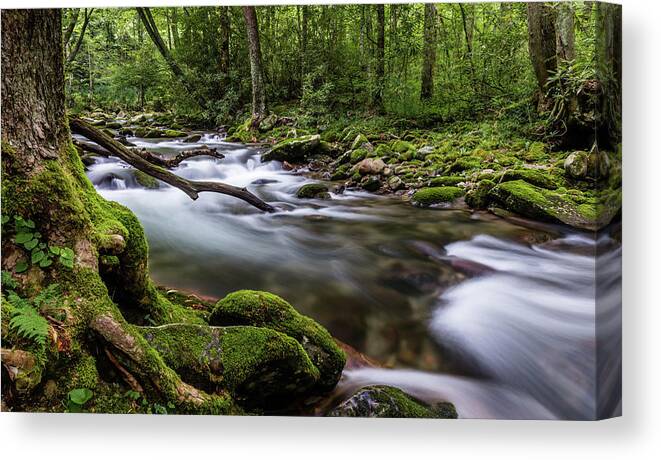 Landscape Canvas Print featuring the photograph Dream Stream by Gary Migues
