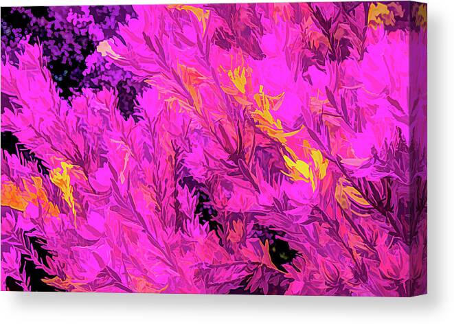 Fushia Canvas Print featuring the photograph Fushia Flower Abstract by Marcy Wielfaert
