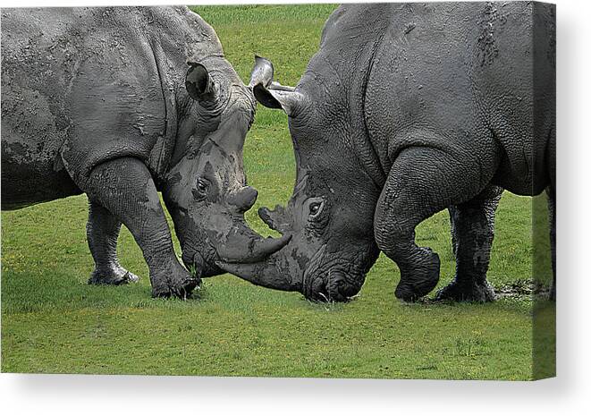 Dublin Canvas Print featuring the photograph Imposing Confrontation by © Karolos Trivizas