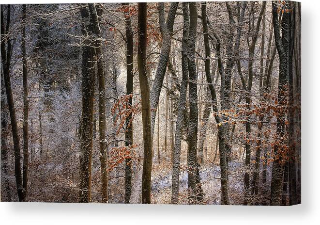Winter Canvas Print featuring the photograph October Snow by Norbert Maier