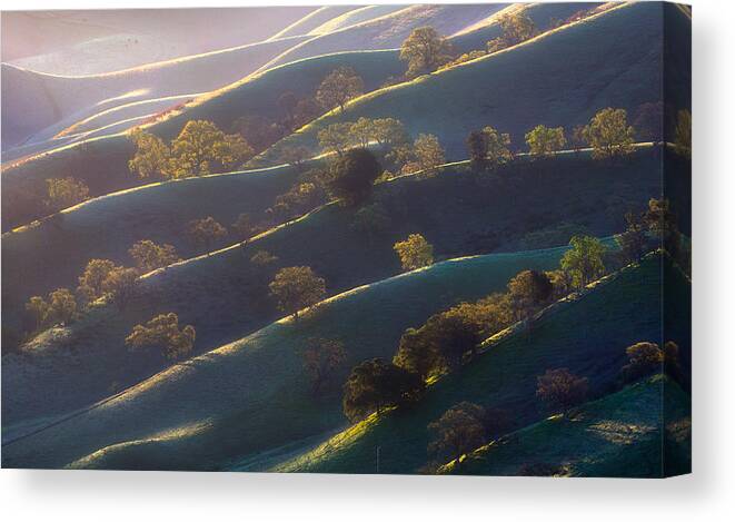 Hill Canvas Print featuring the photograph On Lines Of Light by Dianne Mao