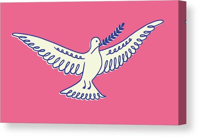 Animal Canvas Print featuring the drawing Peace Dove by CSA Images