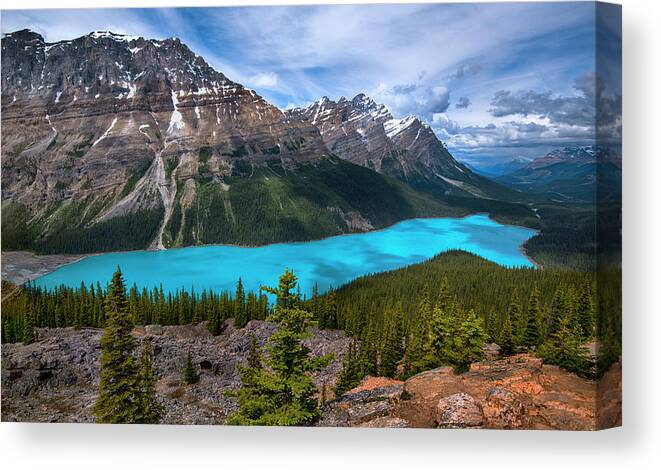 Banff Canvas Print featuring the photograph Peyto Lake in Banff National Park Canada by Dave Dilli