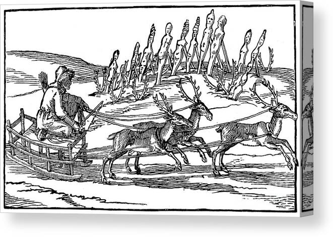 People Canvas Print featuring the drawing Samoyed Travelling On A Sleigh Pulled by Print Collector