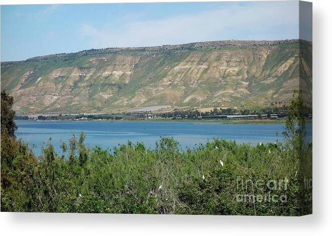 Water Canvas Print featuring the photograph Sea Of Galilee And The Golan Heights by Science Photo Library