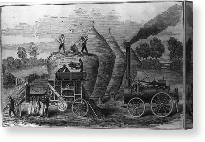 Working Canvas Print featuring the digital art Steam Threshing by Hulton Archive