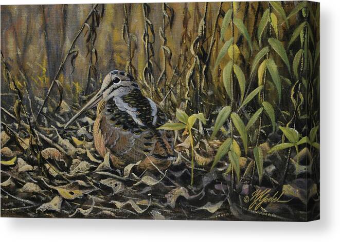 Woodcock Canvas Print featuring the painting Woodcock by Wilhelm Goebel