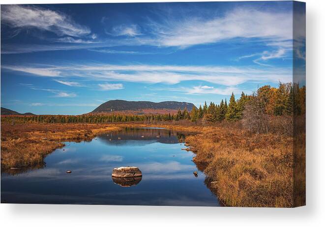 Lazy Tom Bog Maine Canvas Print featuring the photograph Lazy Tom Bog Maine by Dan Sproul
