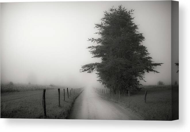 Landscapes Canvas Print featuring the photograph Morning on a Country Road by David Hilton