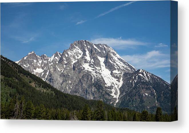 Mount Moran In Spring Grand Teton National Park Canvas Print featuring the photograph Mount Moran In Spring Grand Teton National Park by Dan Sproul