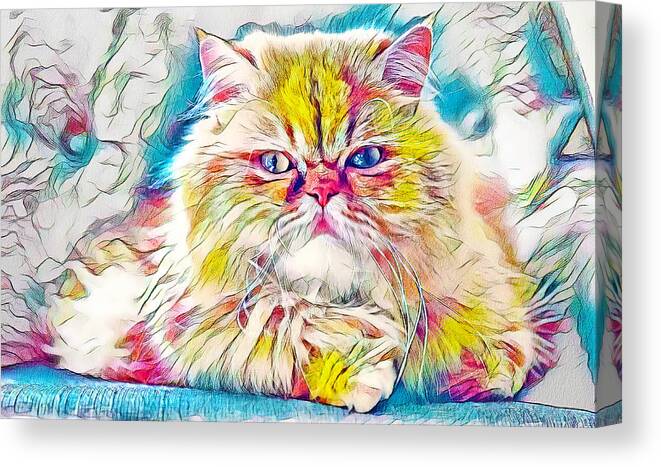 Persian Cat Canvas Print featuring the digital art Persian cat looking at you - warm pastel colors by Nicko Prints