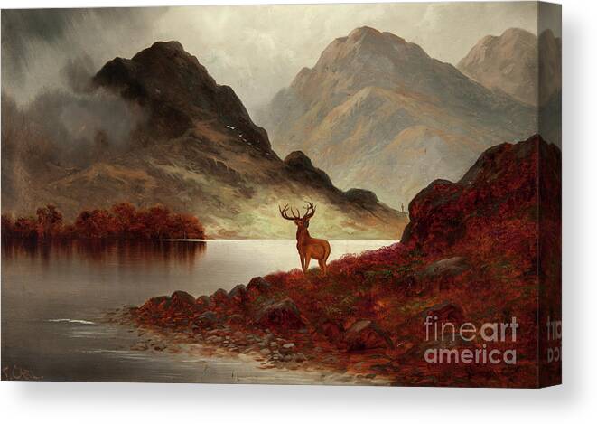 Stag At Bay Canvas Print featuring the painting Stag at Bay by F Carl