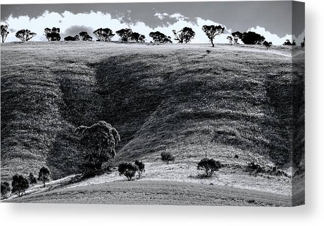 Hills Canvas Print featuring the photograph Sun On The Hills by Wayne Sherriff
