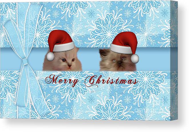 Christmas Canvas Print featuring the photograph The Kitten Presents by Elaine Manley