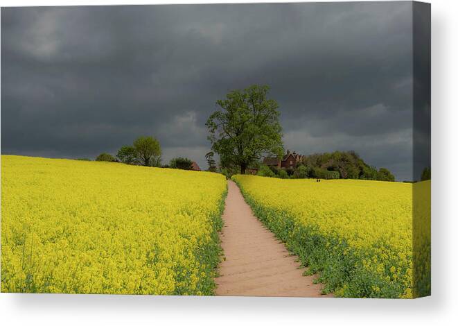 Landscape Canvas Print featuring the photograph Yellow ocean 1 by Remigiusz MARCZAK