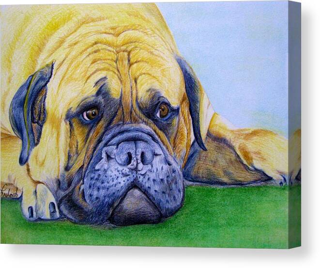 English Bulldog Canvas Print featuring the painting Bulldog #1 by Prashant Shah