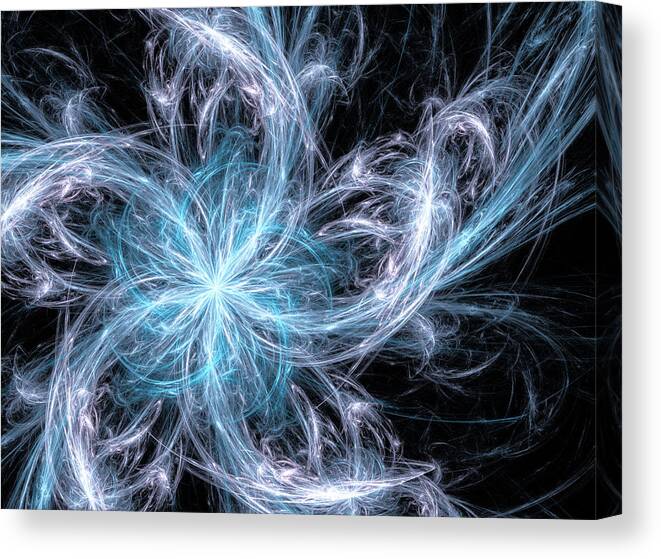 Frozen Canvas Print featuring the photograph Frozen #1 by Ricky Barnard