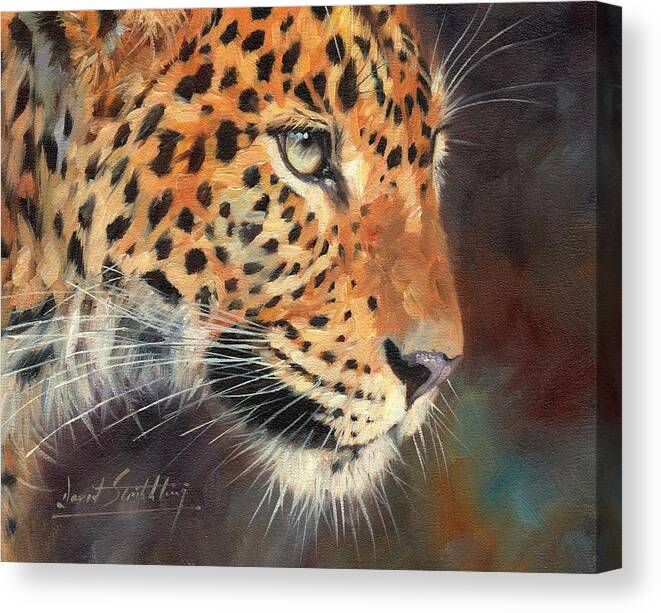 Leopard Canvas Print featuring the painting Leopard #2 by David Stribbling